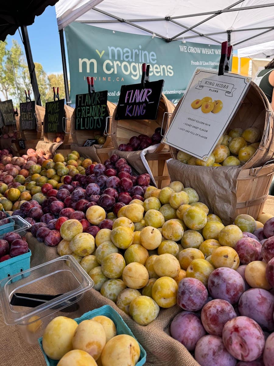 Great Park Farmers Market, Orange County, California Great Park Farmers Market, Orange County, California