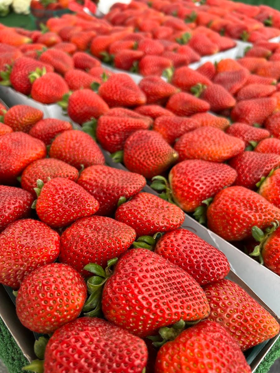 Great Park Farmers Market, Orange County, California Great Park Farmers Market, Orange County, California