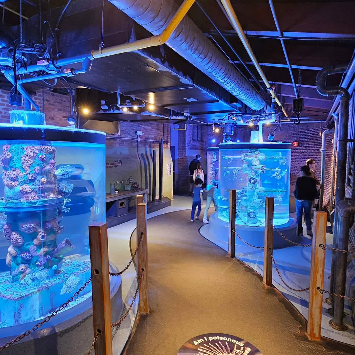 Greater Cleveland Aquarium Greater Cleveland Aquarium