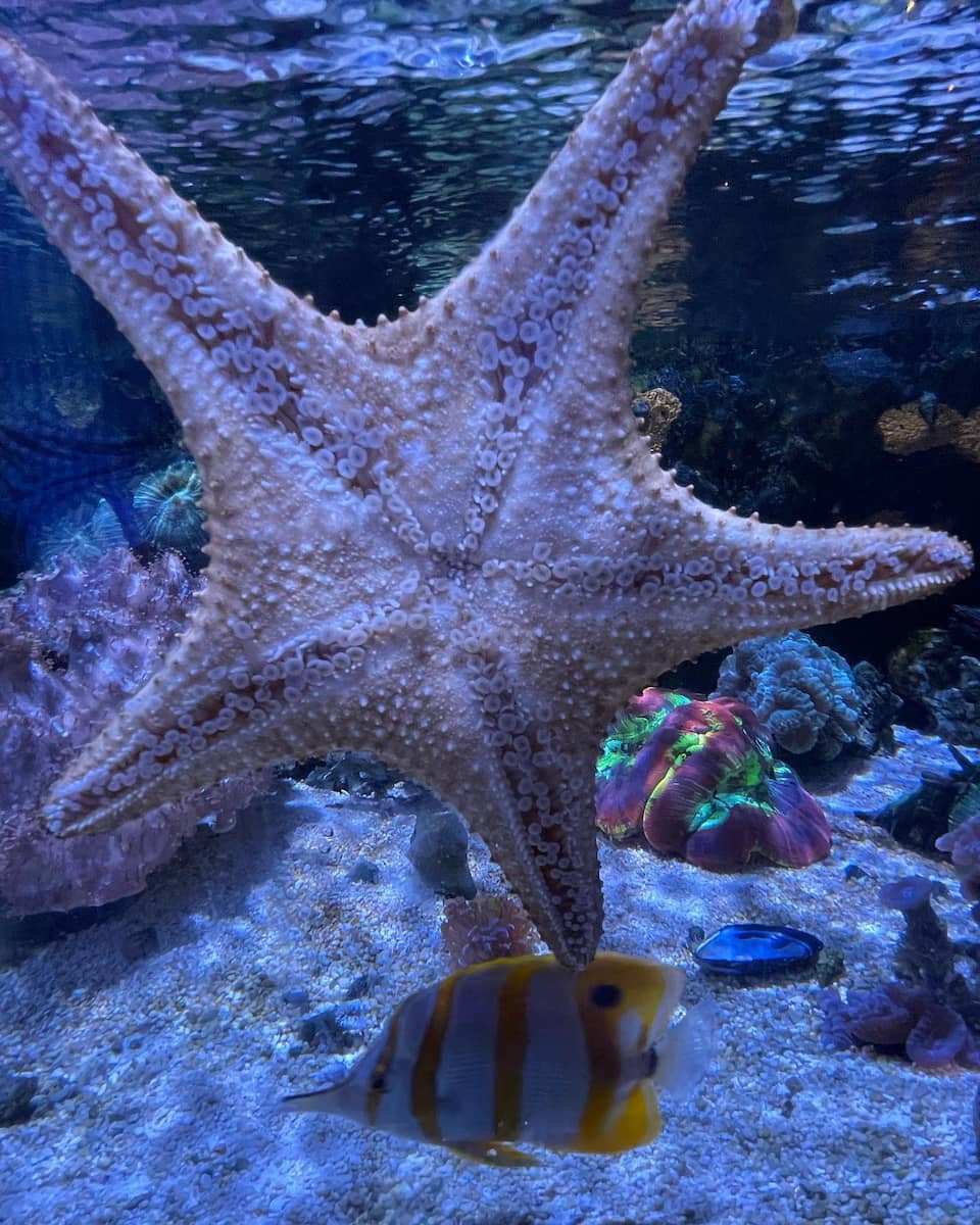 Greater Cleveland Aquarium Greater Cleveland Aquarium