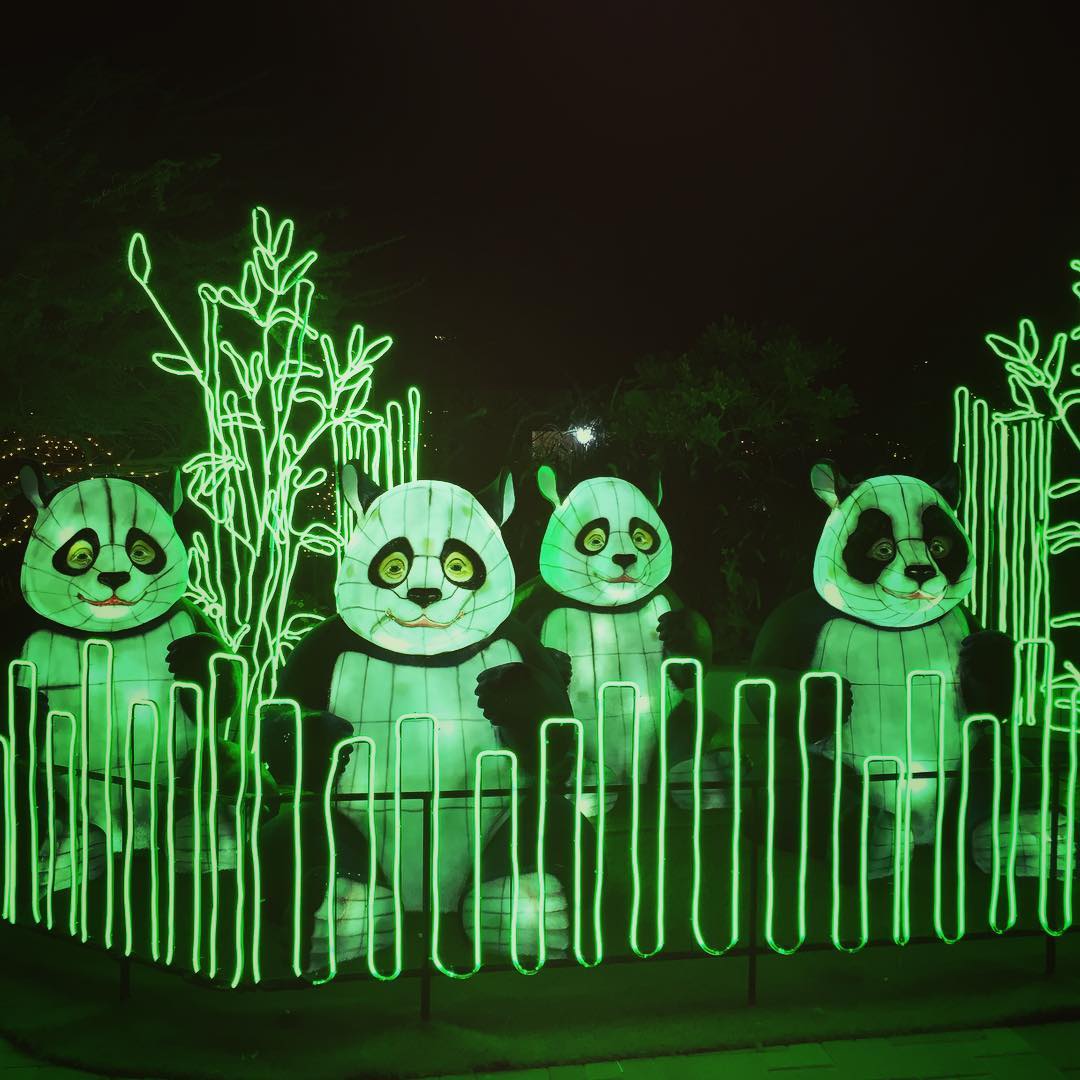 Henry Doorly Zoo's Zoolightful, Omaha Henry Doorly Zoo's Zoolightful, Omaha