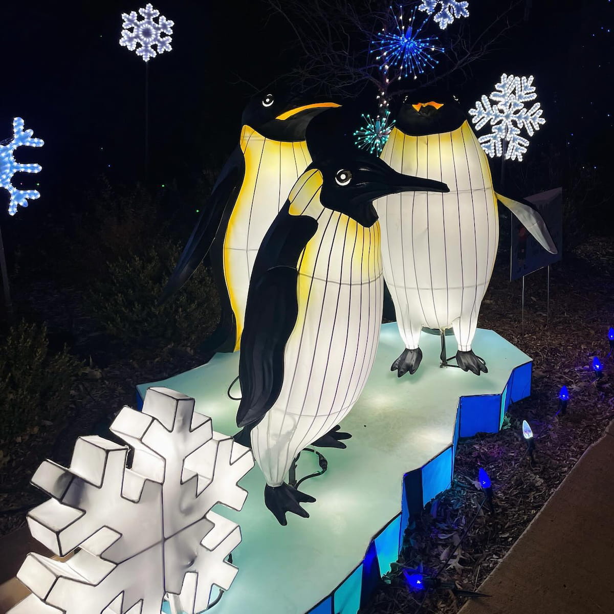 Henry Doorly Zoo's Zoolightful, Omaha Henry Doorly Zoo's Zoolightful, Omaha