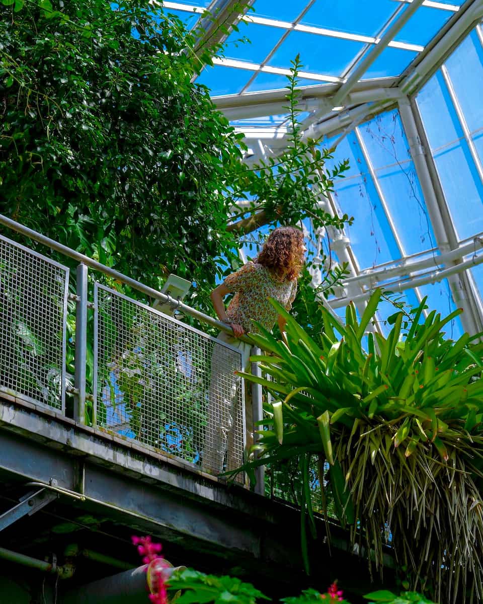 Cleveland Botanical Garden Cleveland Botanical Garden