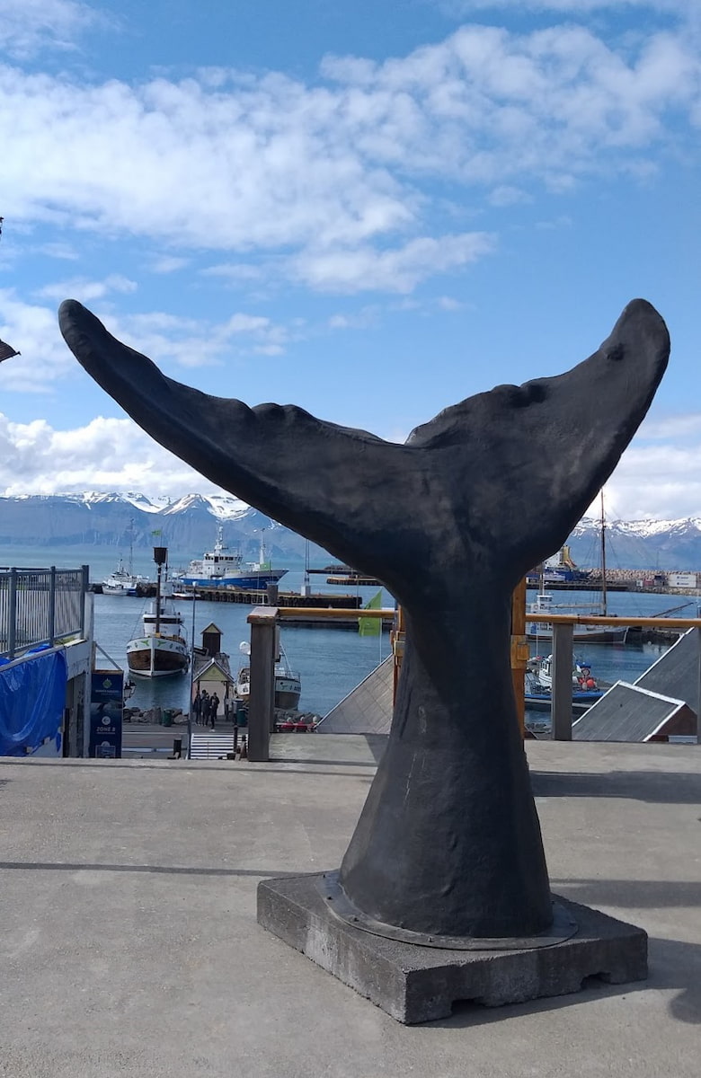 Húsavík Whale Museum, Iceland Húsavík Whale Museum, Iceland