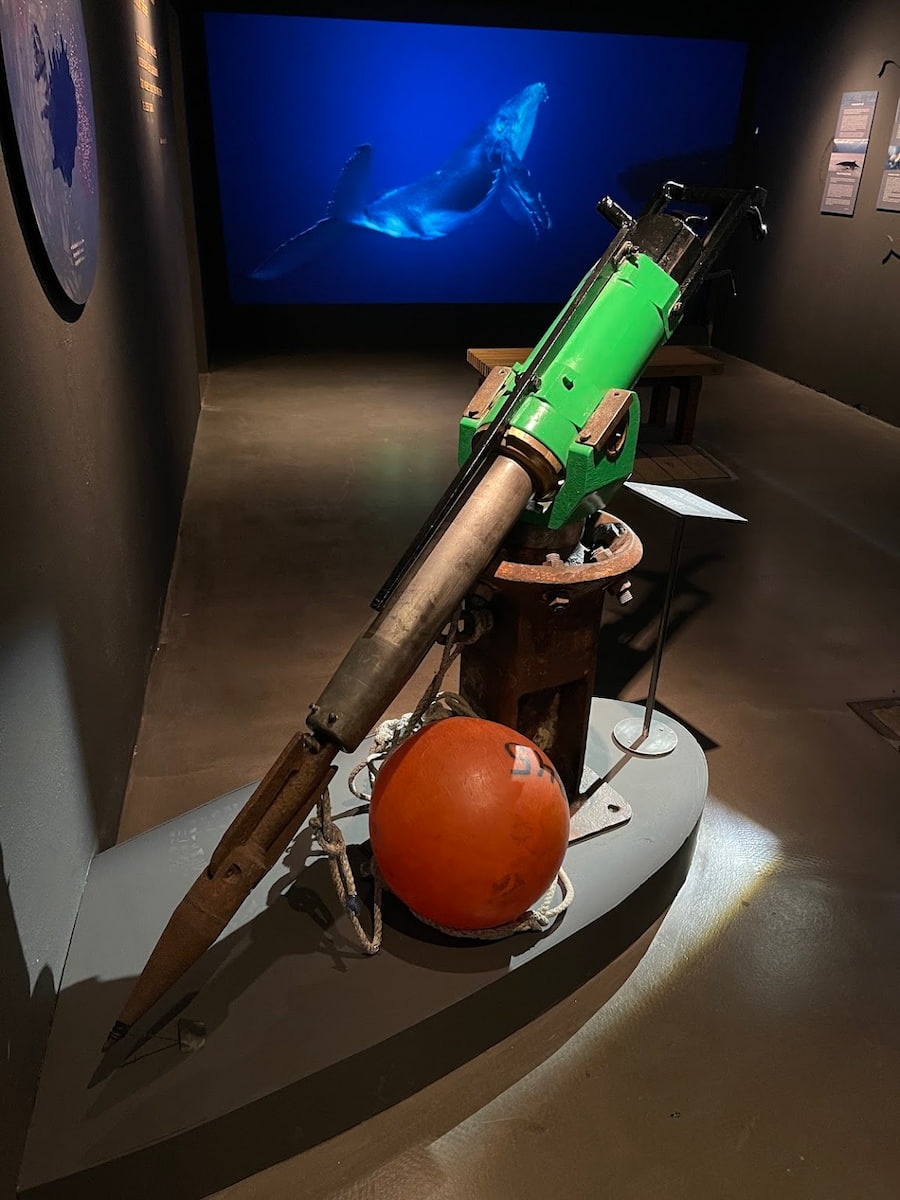 Húsavík Whale Museum, Iceland Húsavík Whale Museum, Iceland