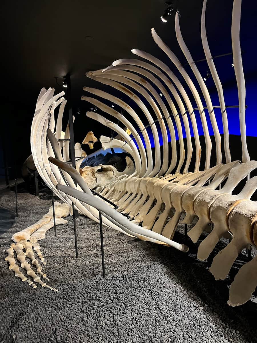 Húsavík Whale Museum, Iceland Húsavík Whale Museum, Iceland