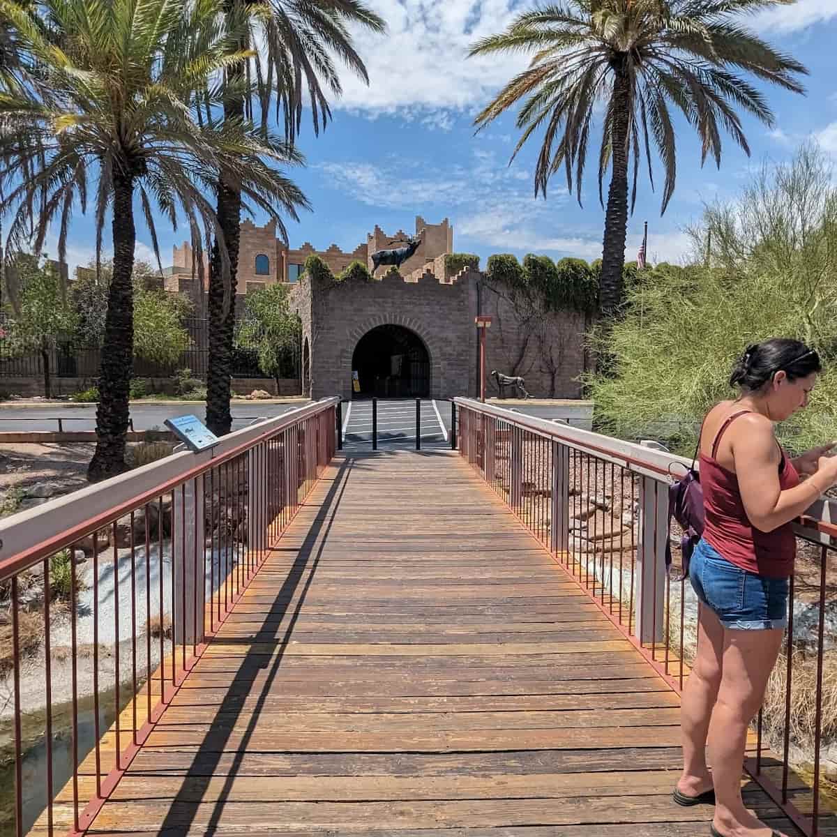 International Wildlife Museum, Tucson International Wildlife Museum, Tucson