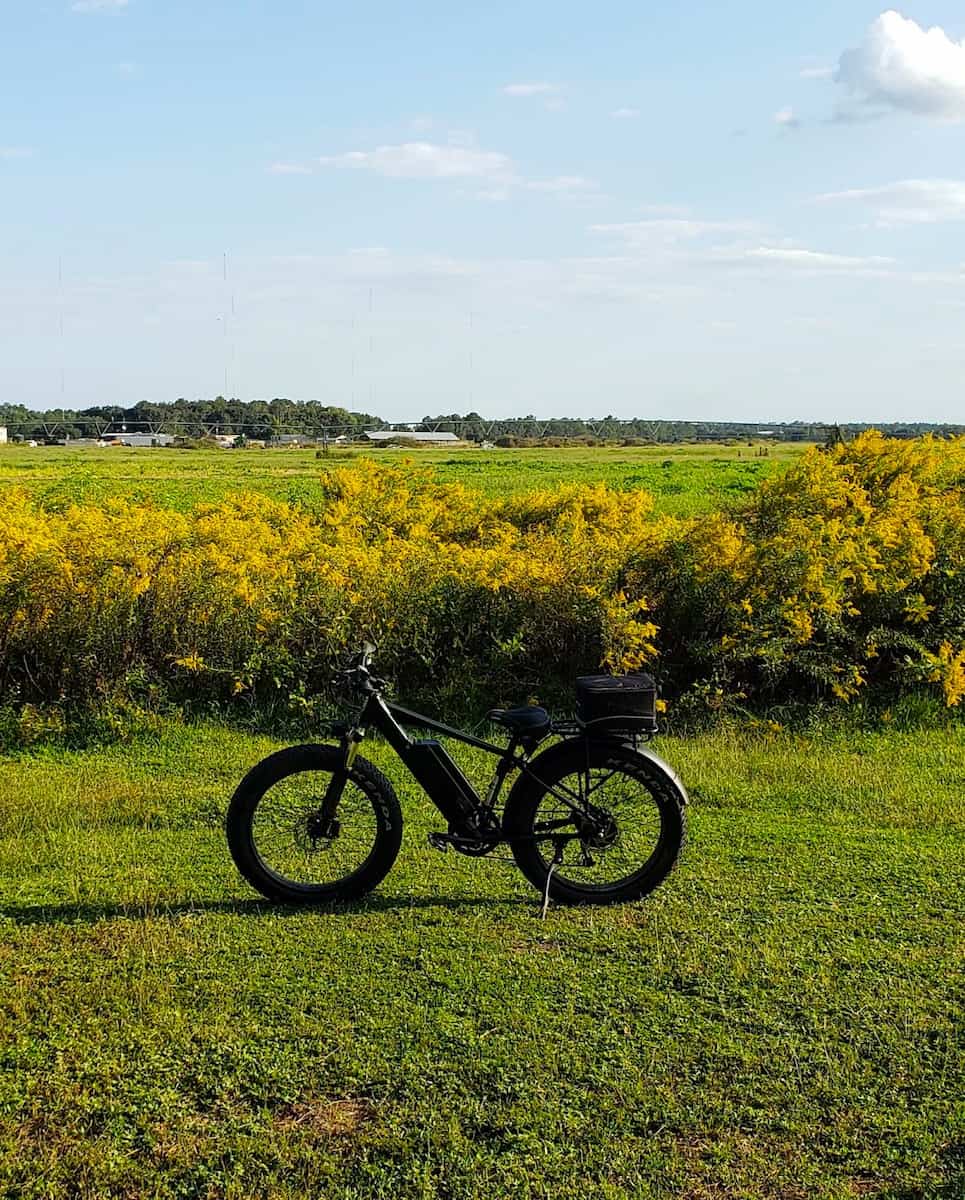 Jacksonville-Baldwin Rail Trail Jacksonville-Baldwin Rail Trail