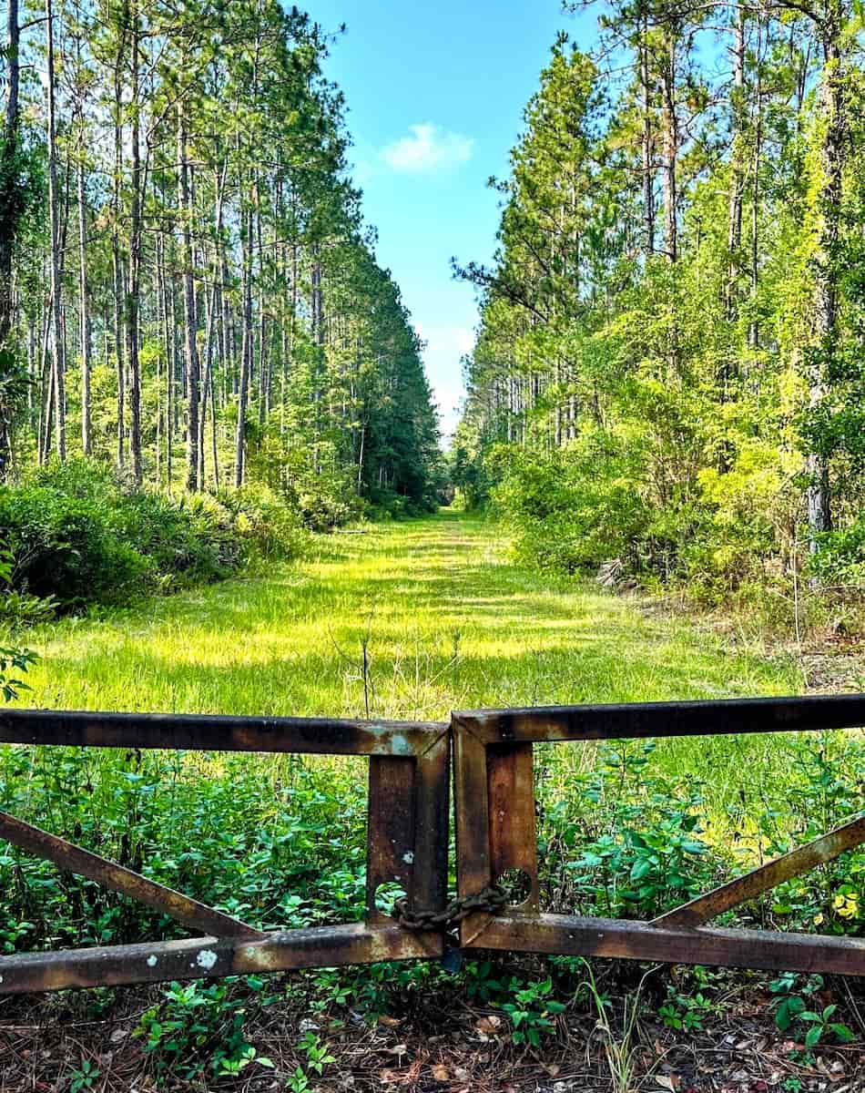 Jacksonville-Baldwin Rail Trail Jacksonville-Baldwin Rail Trail
