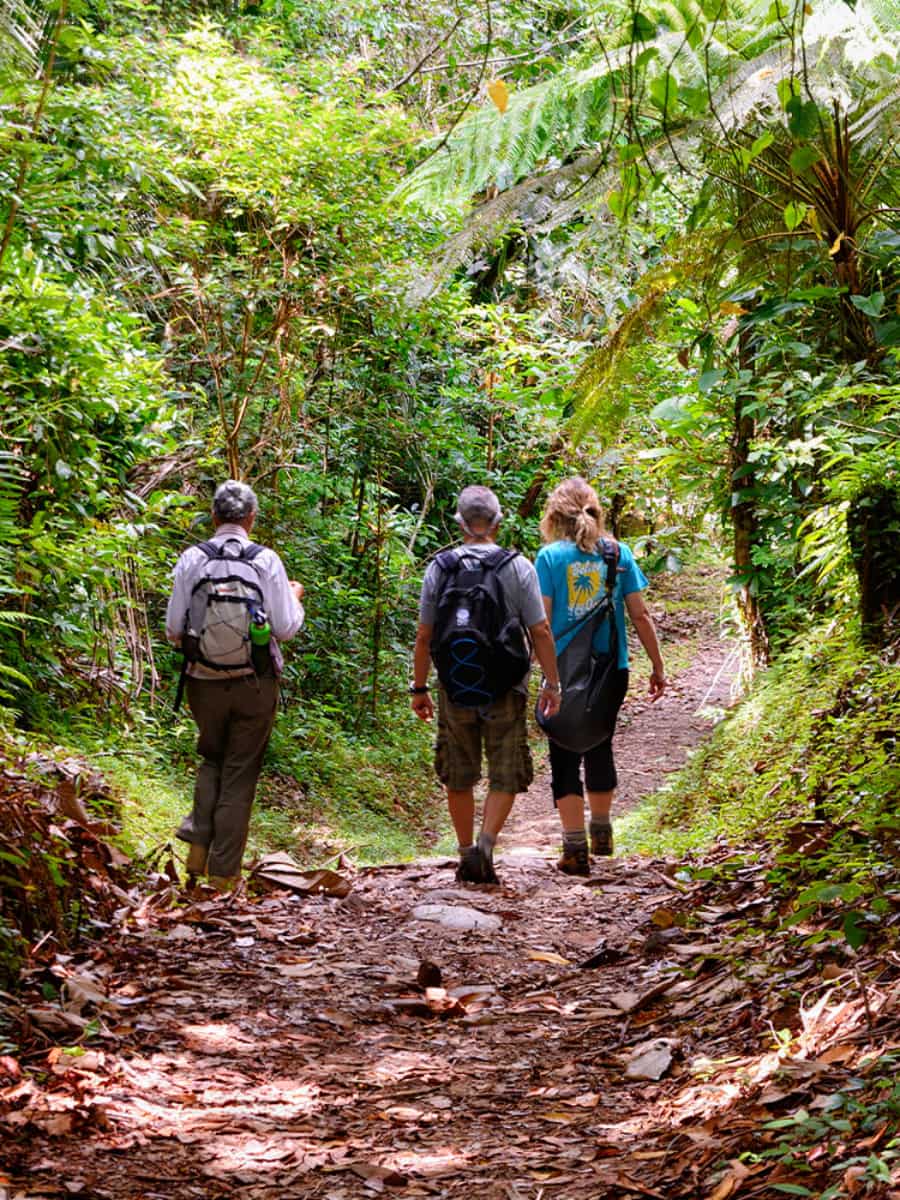 Jungle Hiking, Belize Jungle Hiking, Belize