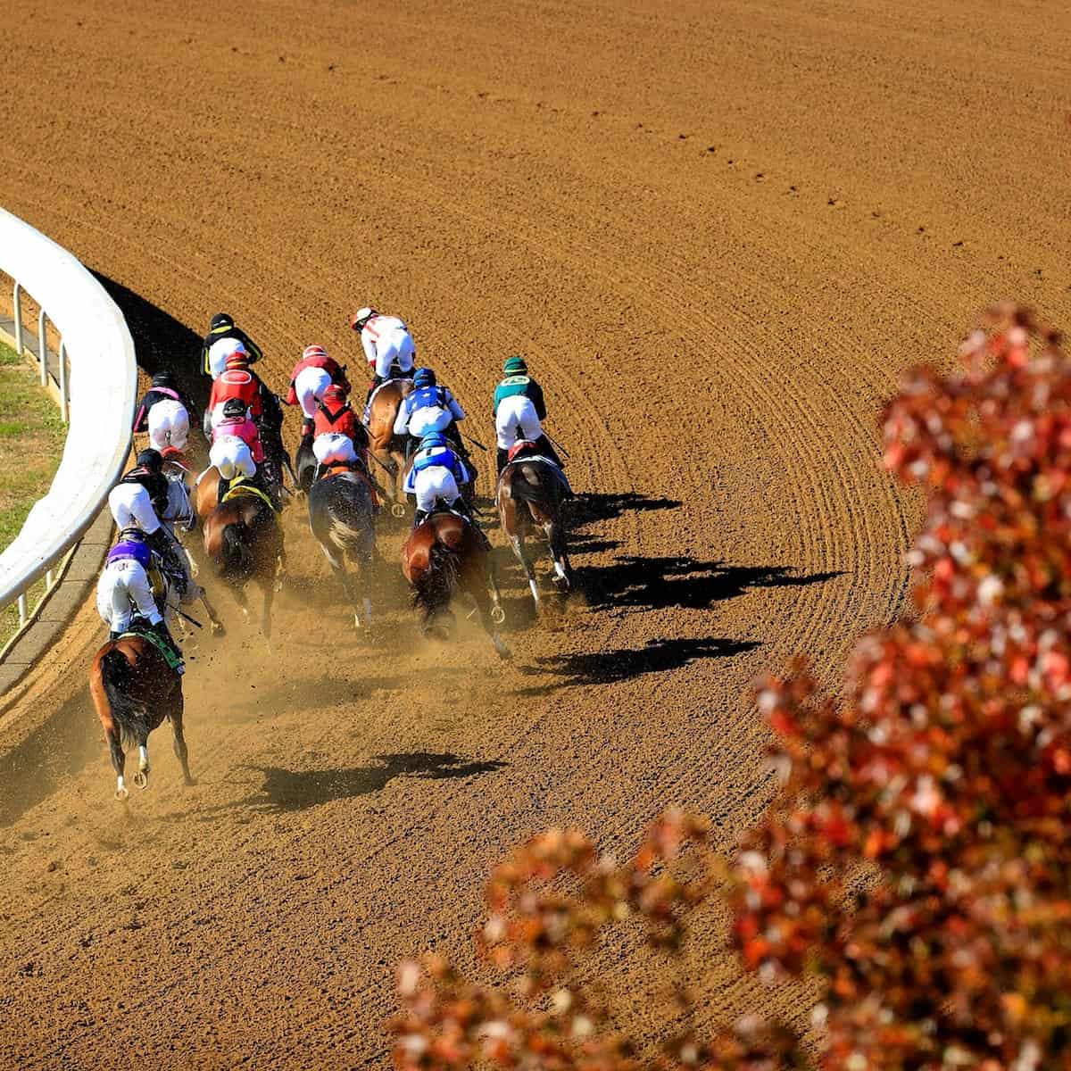Keeneland Race Course, Lexington Keeneland Race Course, Lexington