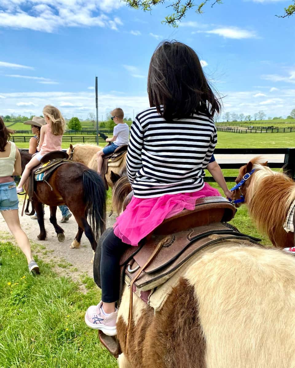 Kentucky Horse Park, Lexington Kentucky Horse Park, Lexington