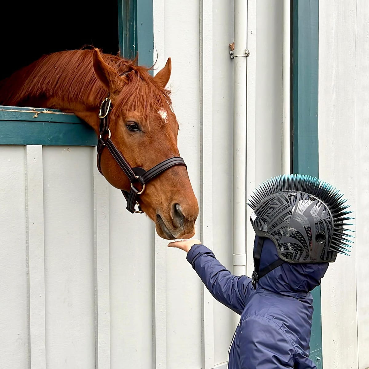 Kentucky Horse Park, Lexington Kentucky Horse Park, Lexington