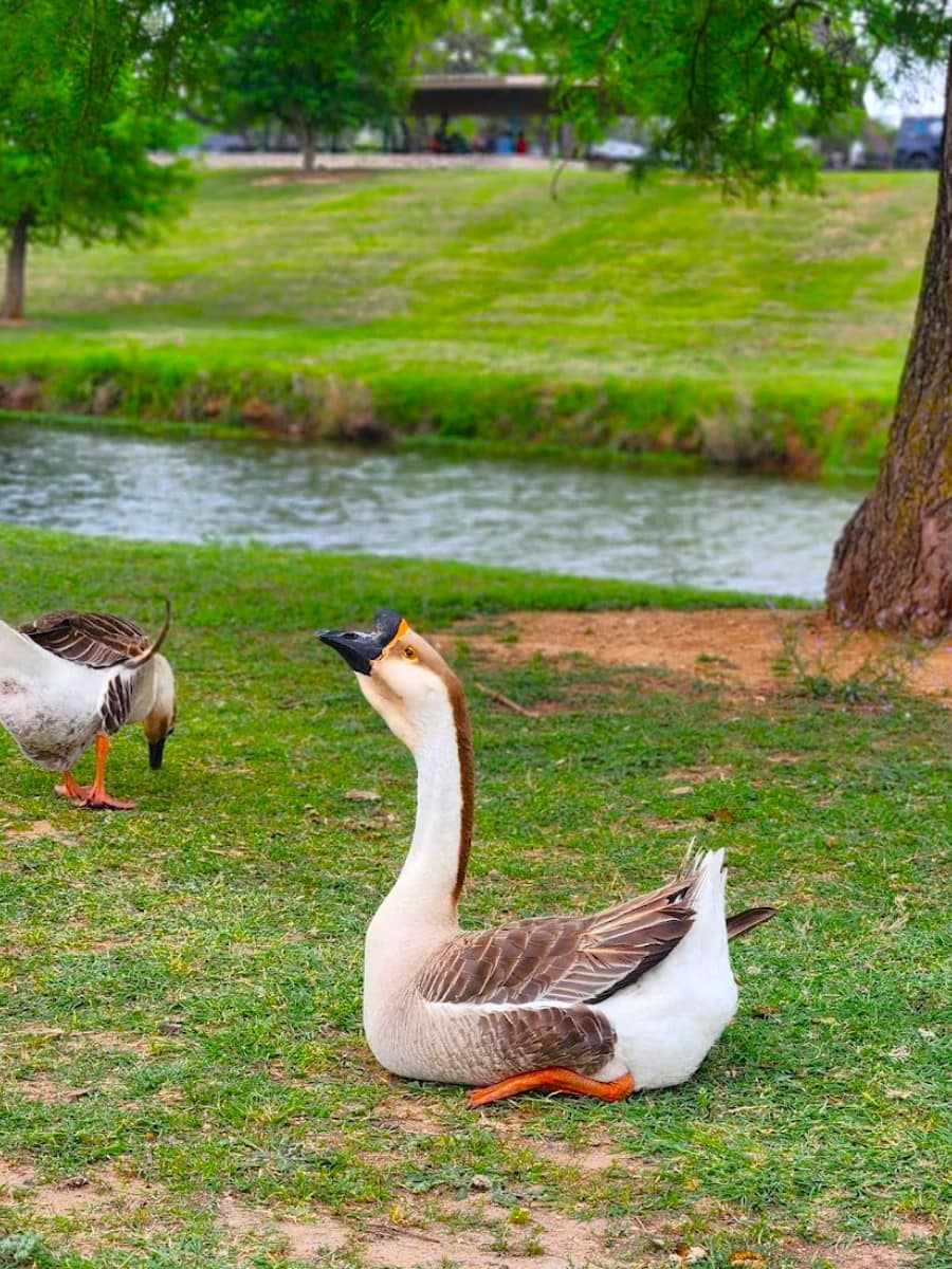 Lady Bird Johnson Municipal Park, Fredericksburg, TX Lady Bird Johnson Municipal Park, Fredericksburg, TX