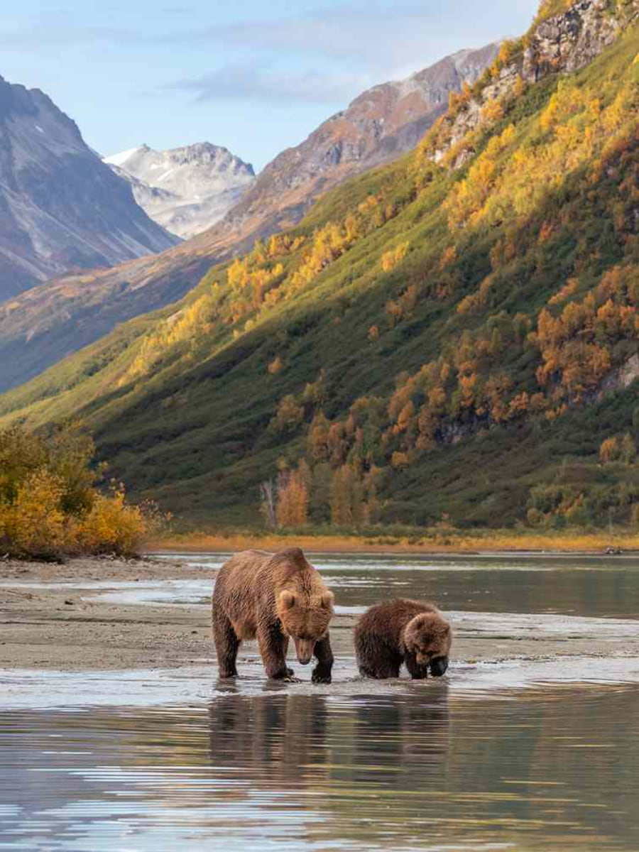 Lake Clark National Park, Anchorage Lake Clark National Park, Anchorage