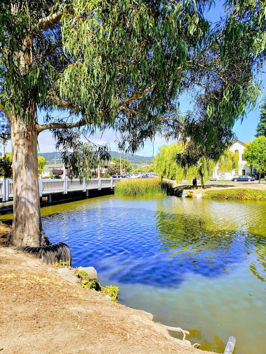 Lake El Estero Park Complex, Monterey, California Lake El Estero Park Complex, Monterey, California