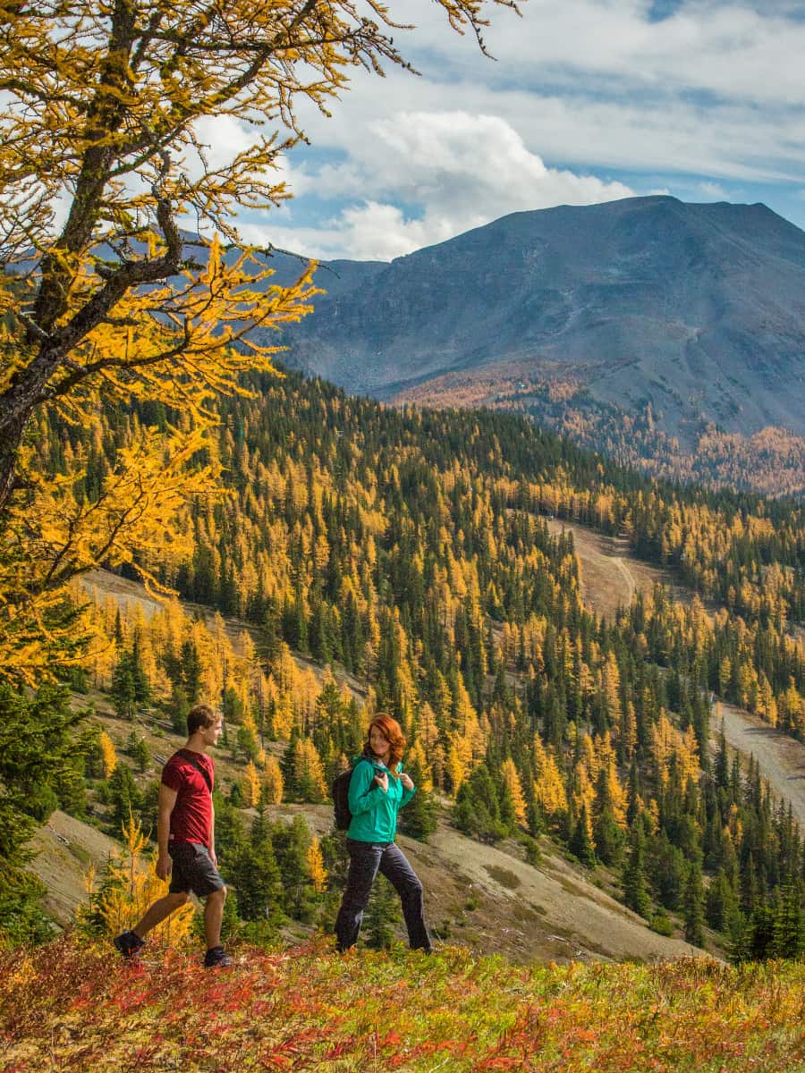 Larch Valley Hikes, Banff, Alberta Larch Valley Hikes, Banff, Alberta