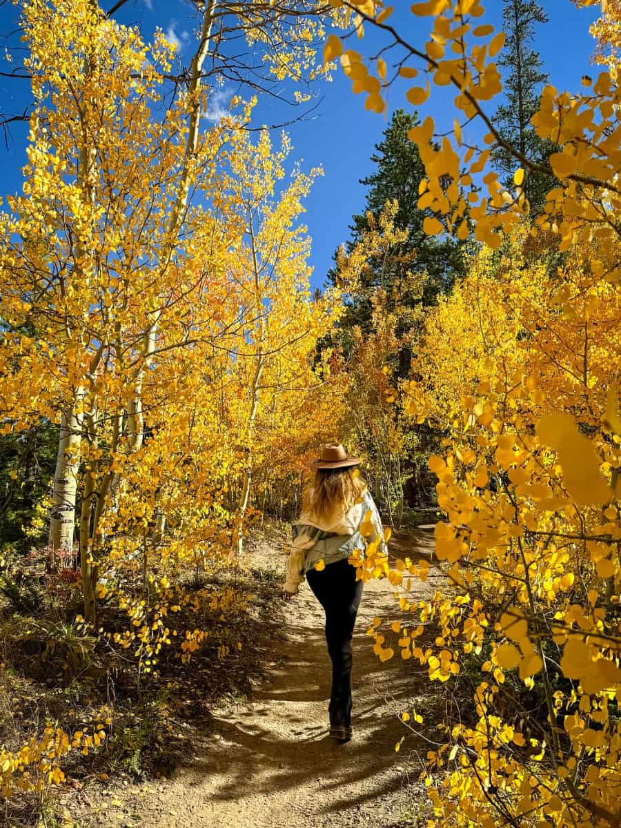 Leaf Peeping in Aspen Alley, Flagstaff Leaf Peeping in Aspen Alley, Flagstaff