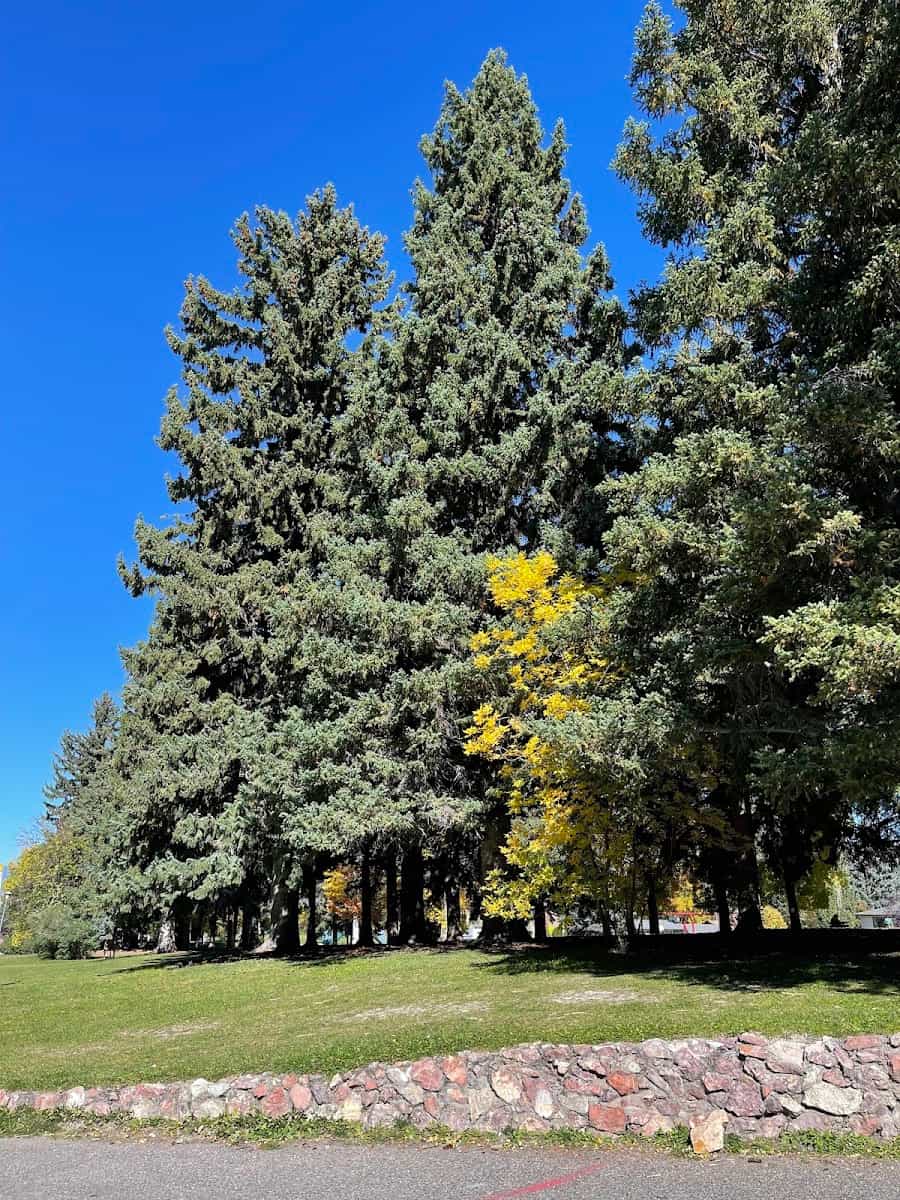 Lindley Park Center, Bozeman, Montana Lindley Park Center, Bozeman, Montana