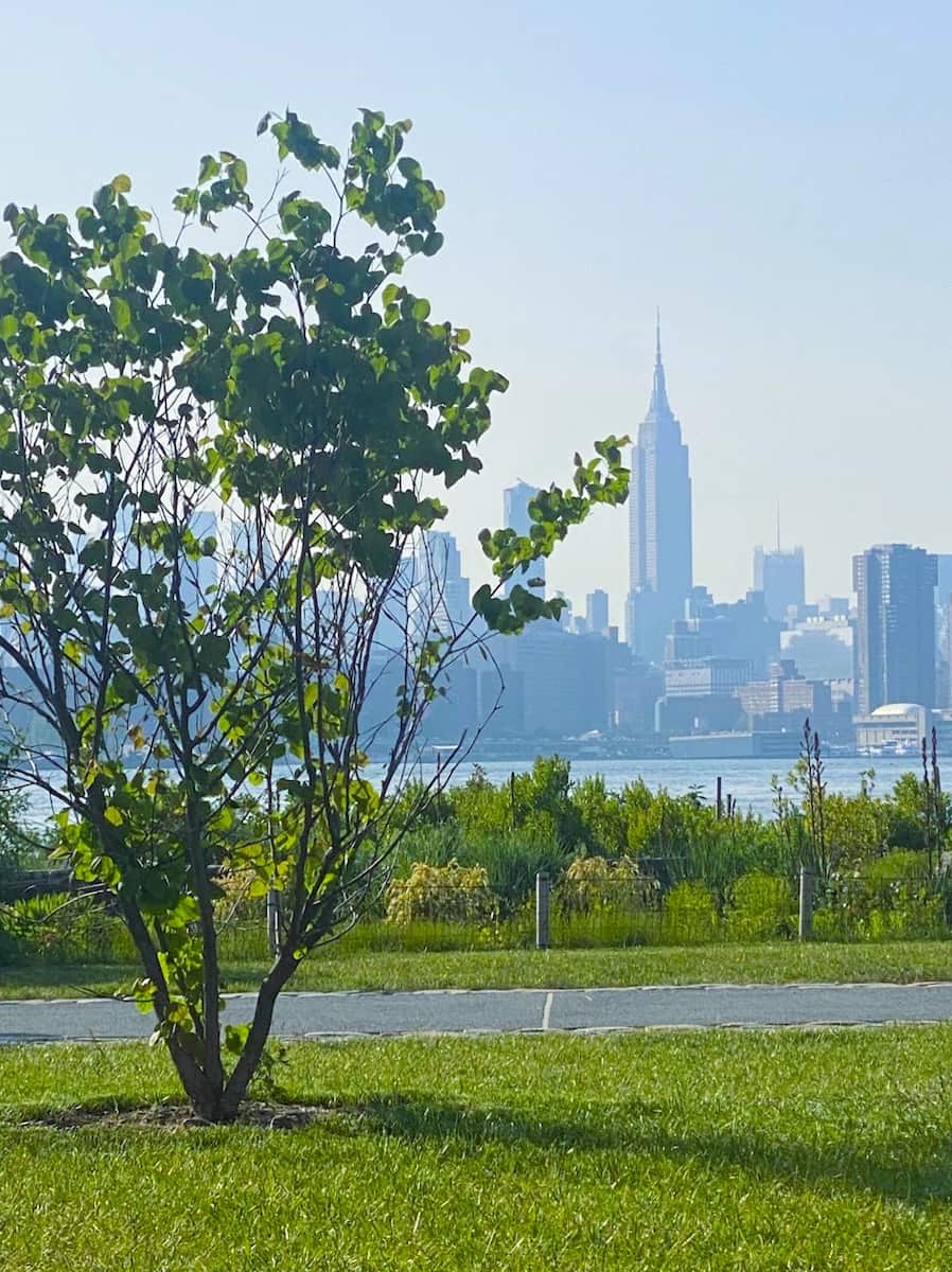 Marsha P. Johnson Park, Brooklyn Marsha P. Johnson Park, Brooklyn