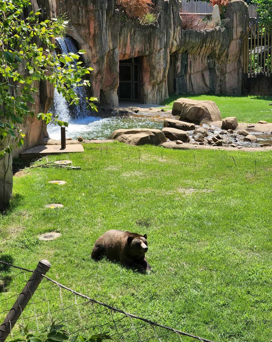 Memphis Zoo Animal Encounters Memphis Zoo Animal Encounters