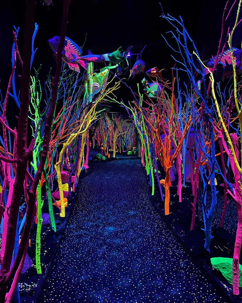 Meow Wolf, Santa Fe Meow Wolf, Santa Fe