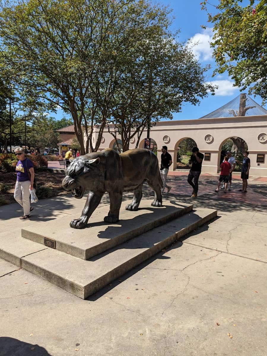 Mike the Tiger, Baton Rouge Mike the Tiger, Baton Rouge