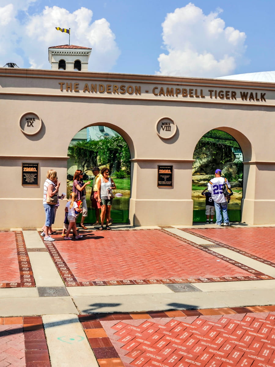 Mike the Tiger, Baton Rouge Mike the Tiger, Baton Rouge