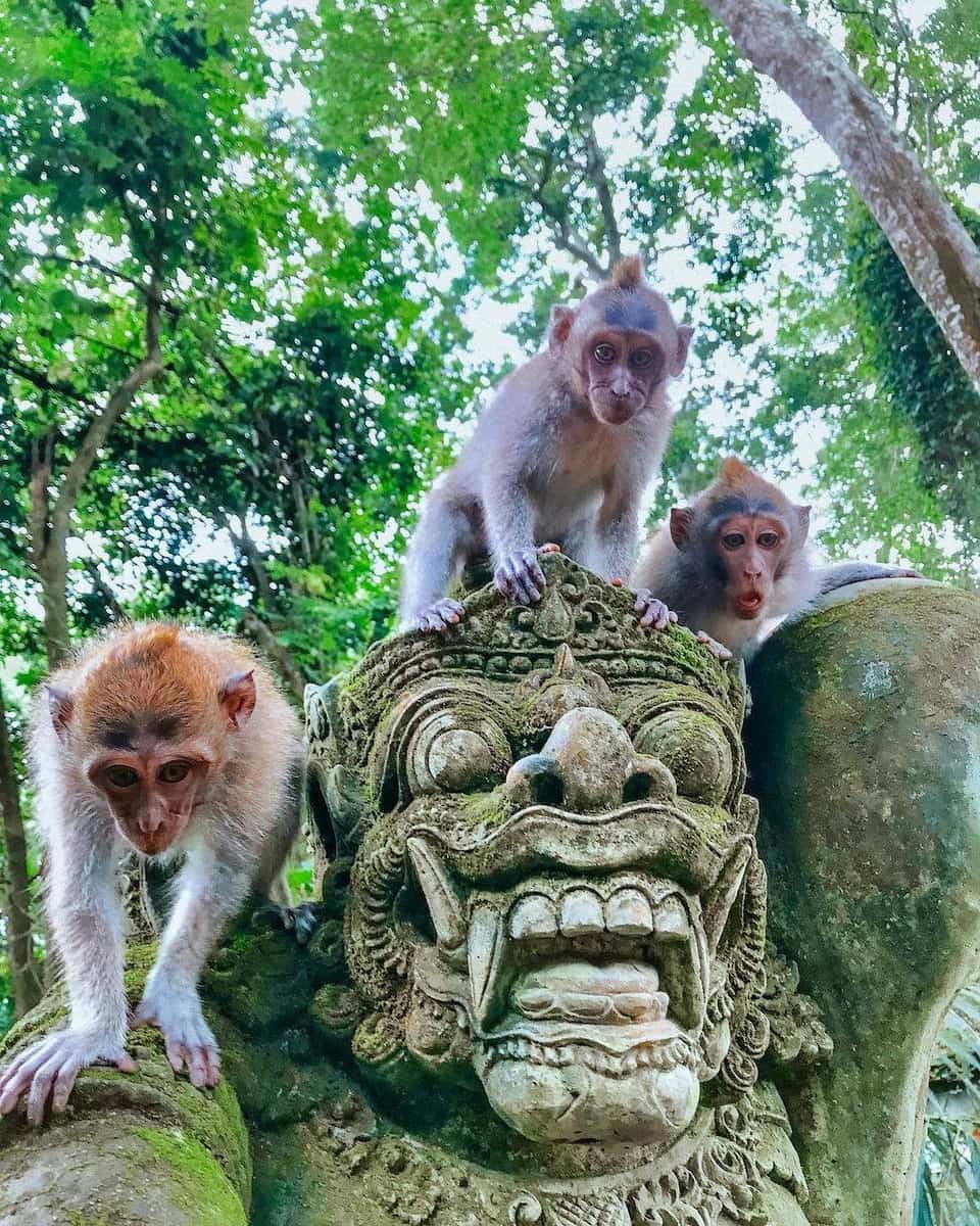 Monkey Forest Ubud, Bali Monkey Forest Ubud, Bali
