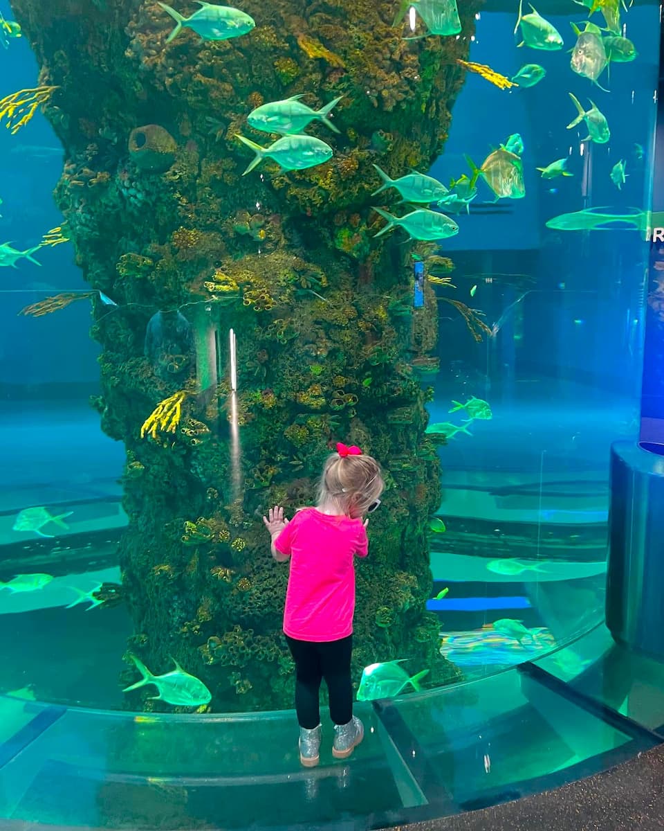 Moody Gardens, Galveston Moody Gardens, Galveston