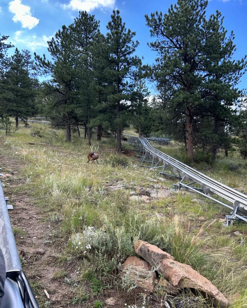 Mustang Mountain Coaster, Estes Park Mustang Mountain Coaster, Estes Park