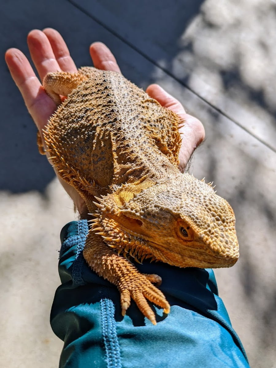 Orange County Zoo, Orange County, California Orange County Zoo, Orange County, California