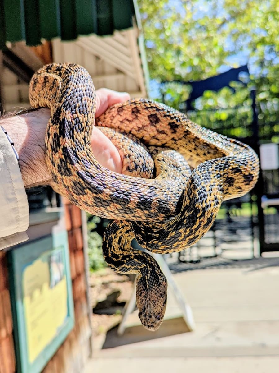 Orange County Zoo, Orange County, California Orange County Zoo, Orange County, California