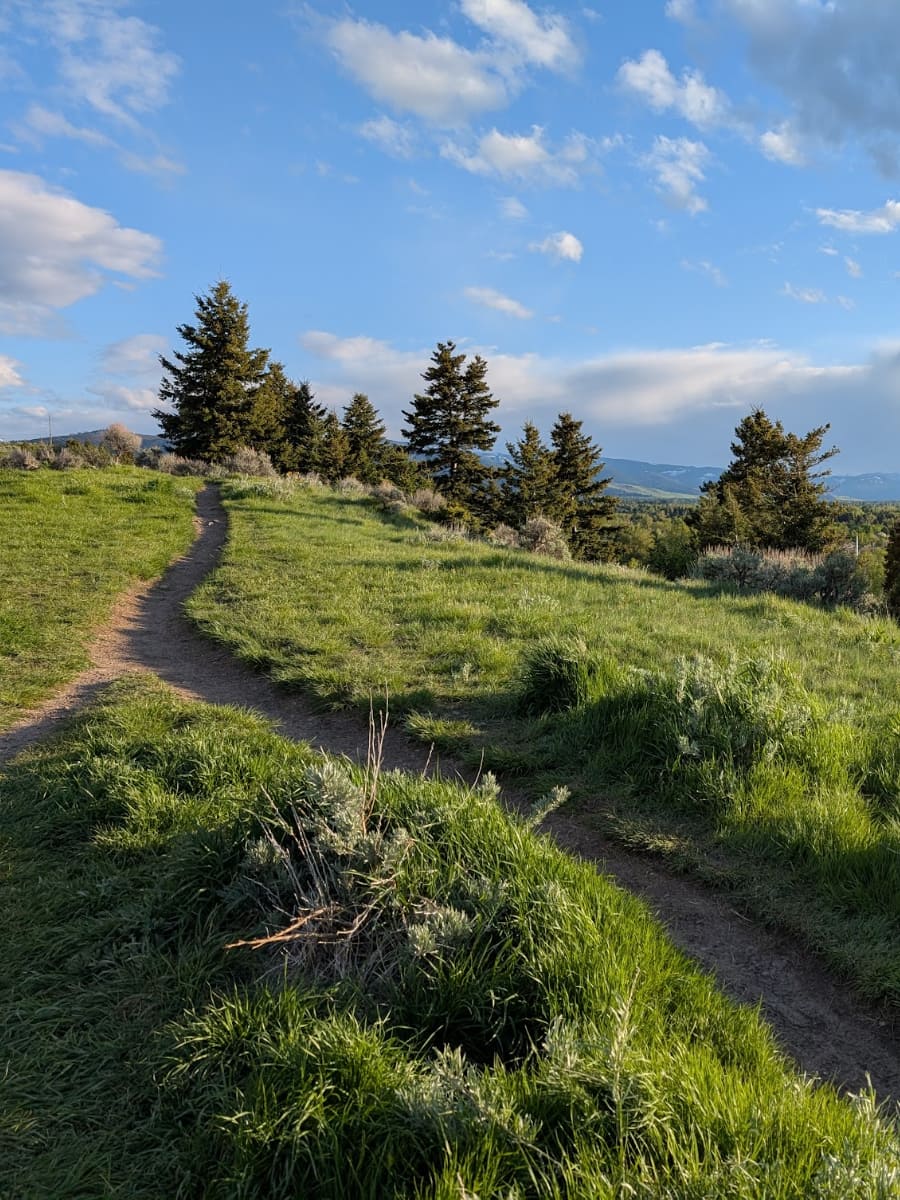 Peets Hill  Burke Park, Bozeman, Montana Peets Hill Burke Park, Bozeman, Montana