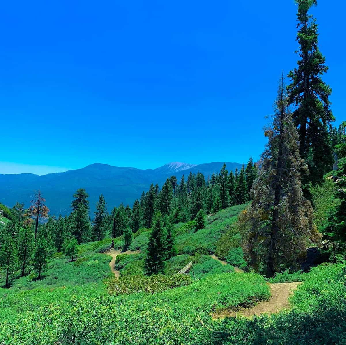 Pine Knot Trail, Big Bear Lake Pine Knot Trail, Big Bear Lake