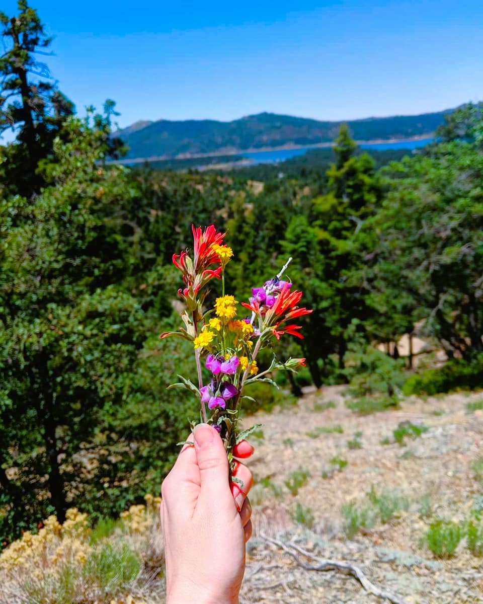 Pine Knot Trail, Big Bear Lake Pine Knot Trail, Big Bear Lake