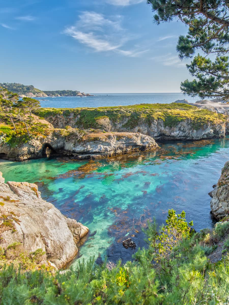 Point Lobos State Natural Reserve, Monterey, California Point Lobos State Natural Reserve, Monterey, California