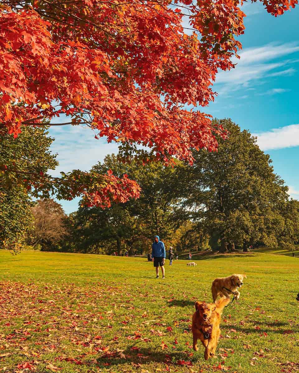 Prospect Park, Brooklyn Prospect Park, Brooklyn