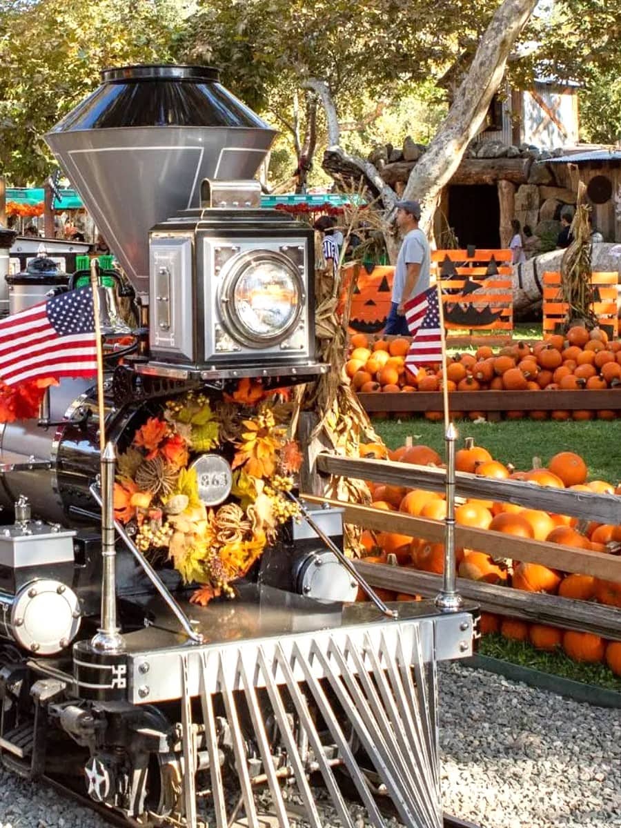 Pumpkin Patches, Orange County, California Pumpkin Patches, Orange County, California