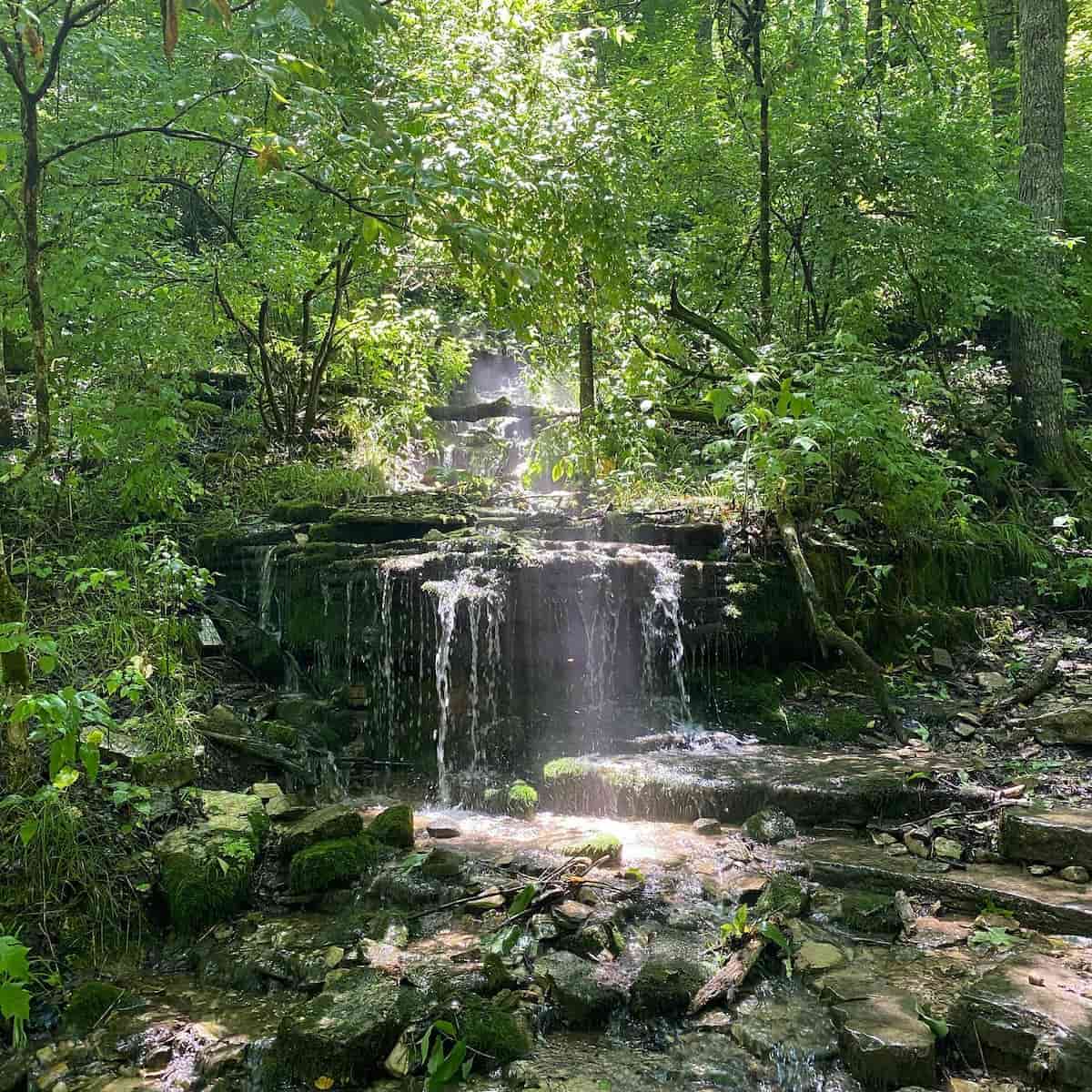 Raven Run Nature Sanctuary, Lexington Raven Run Nature Sanctuary, Lexington