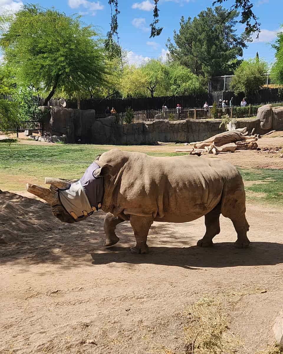 Reid Park Zoo, Tucson Reid Park Zoo, Tucson