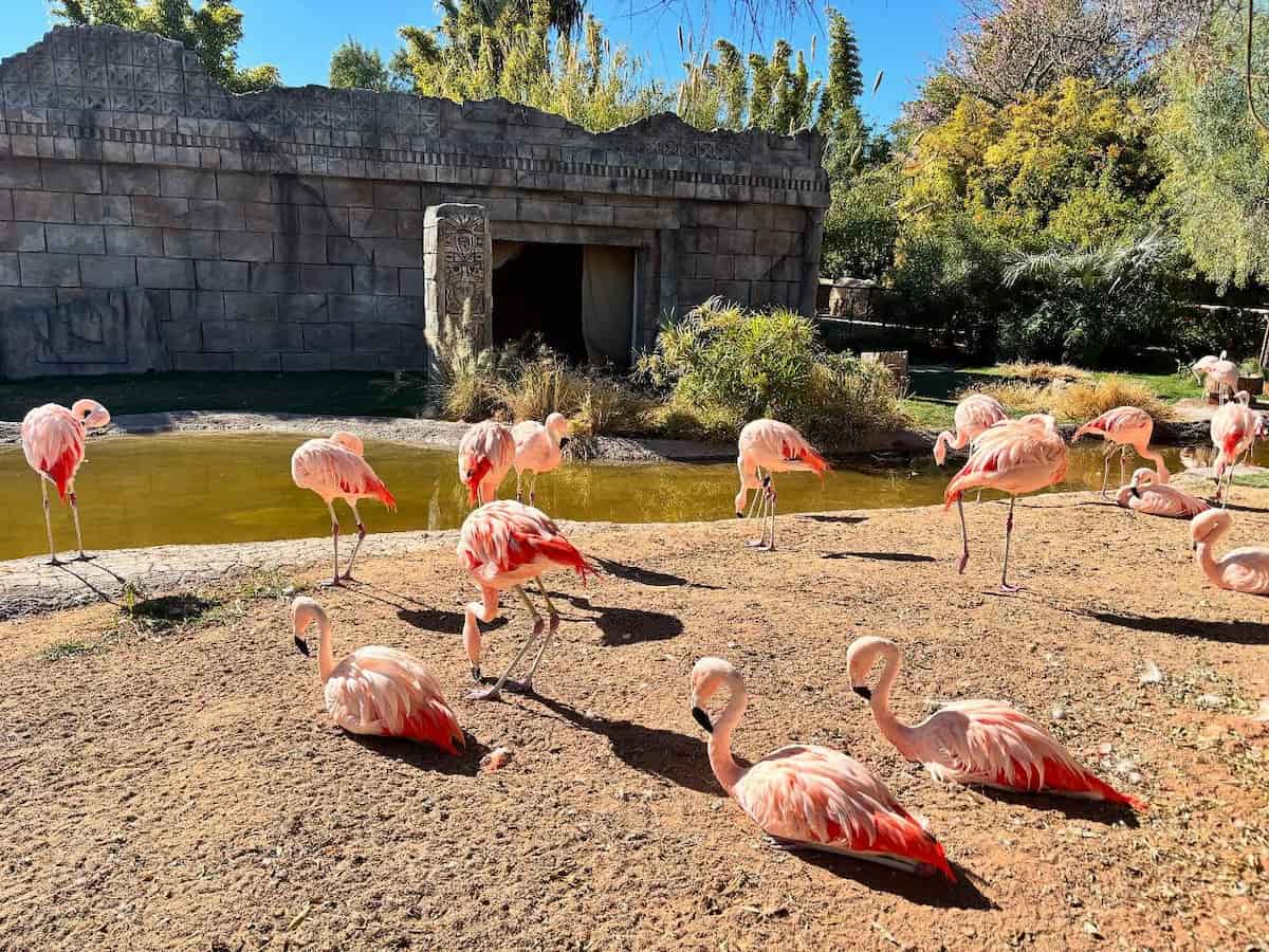 Reid Park Zoo, Tucson Reid Park Zoo, Tucson
