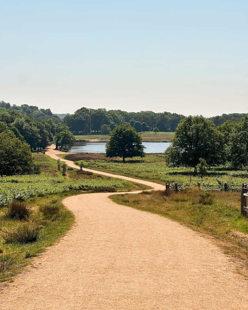 Richmond Park, Grand Rapid Richmond Park, Grand Rapid