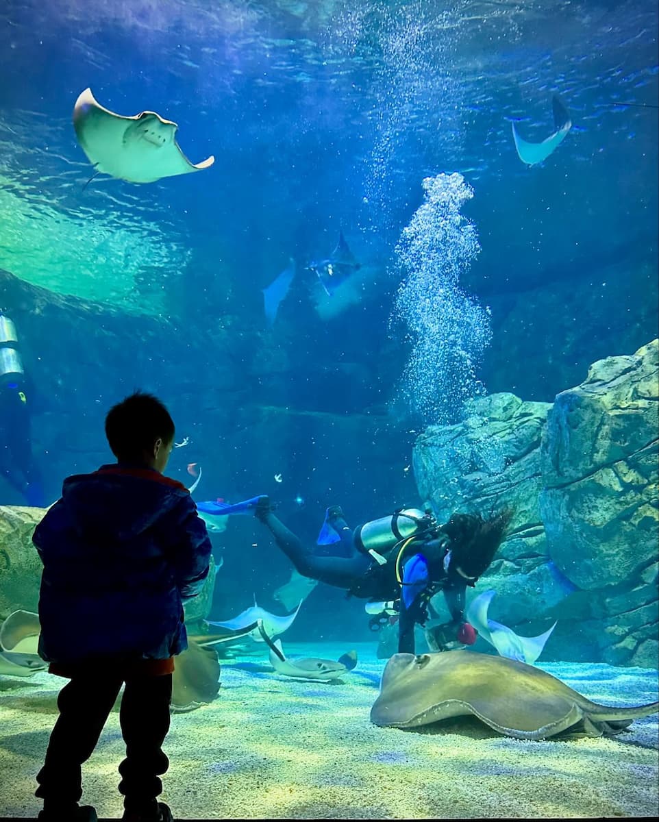 Ripley's Aquarium of Canada Ripley's Aquarium of Canada