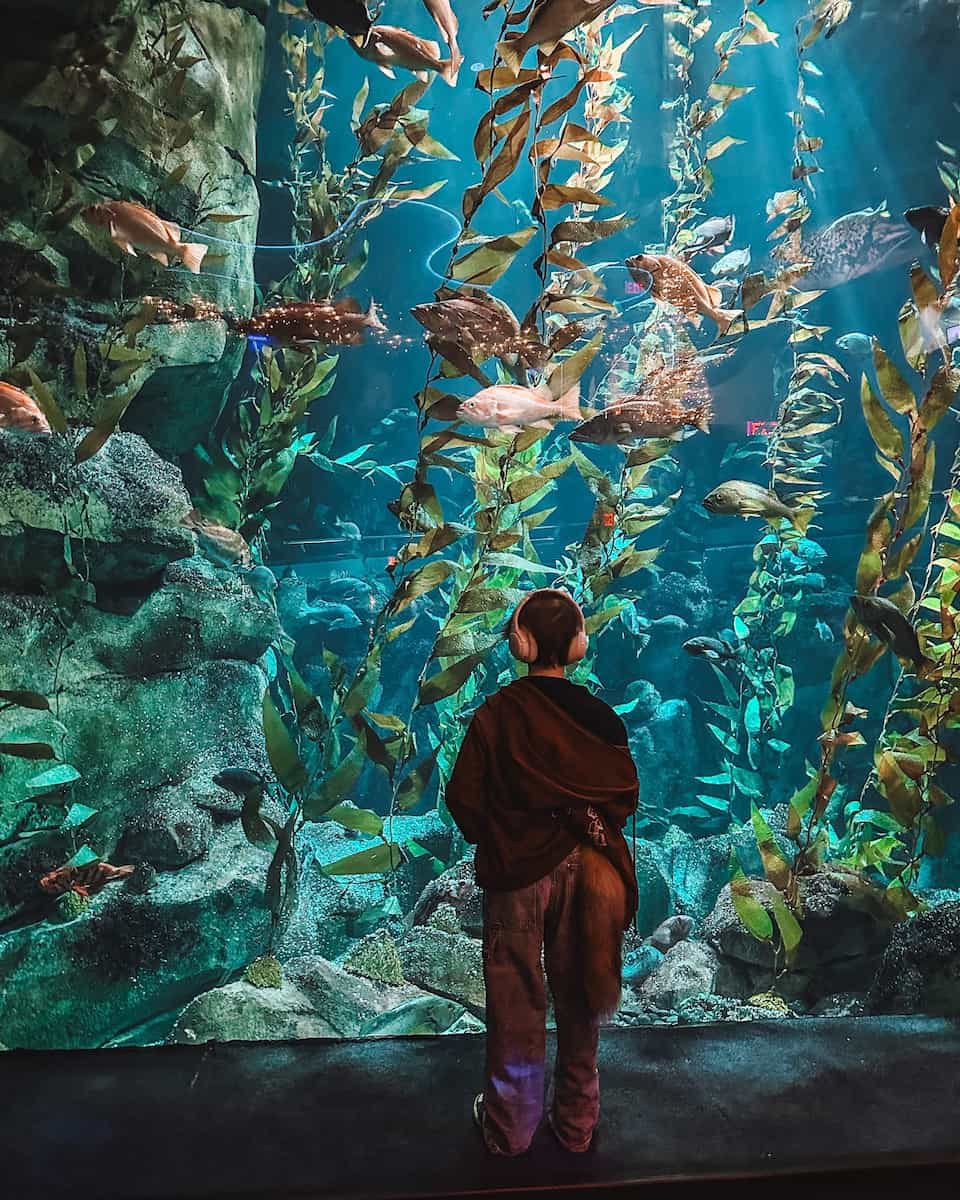 Ripley's Aquarium of Canada Ripley's Aquarium of Canada
