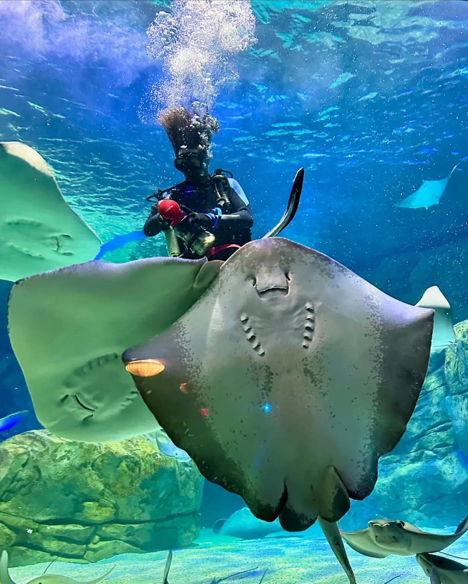 Ripley's Aquarium of Canada Ripley's Aquarium of Canada