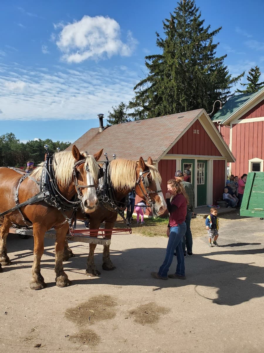 Robinette Apple Haus & Winery, Michigan Robinette Apple Haus & Winery, Michigan