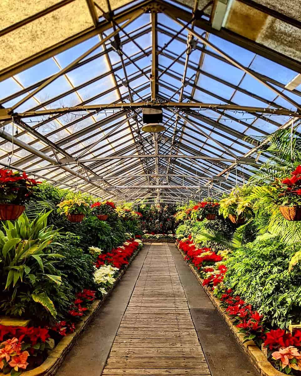 Rockefeller Greenhous, Cleveland Rockefeller Greenhous, Cleveland