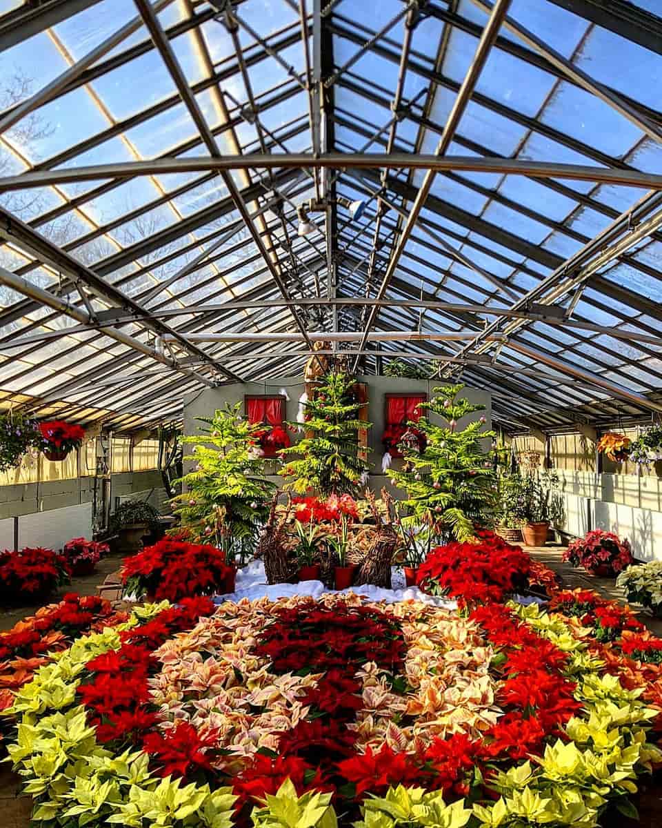 Rockefeller Greenhous, Cleveland Rockefeller Greenhous, Cleveland
