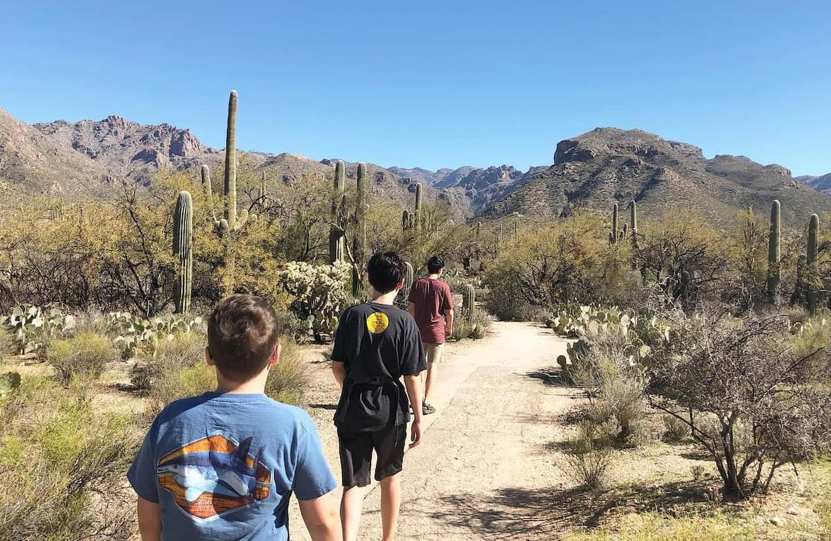 Sabino Canyon Recreation Area, Tucson Sabino Canyon Recreation Area, Tucson